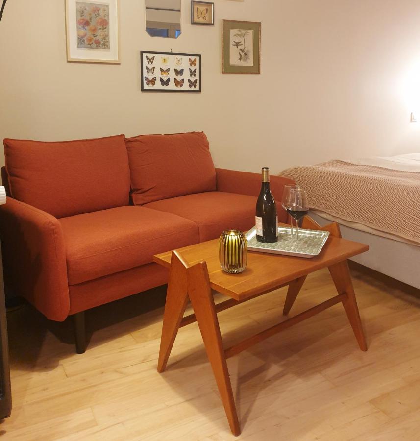 Maisonnette Cosy Coeur Centre Avec Accueil Velo ソミュール エクステリア 写真